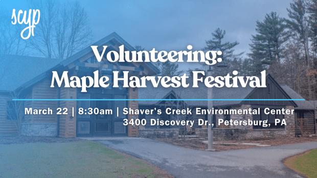 SCYP Volunteer: Maple Harvest&nbsp;Festival